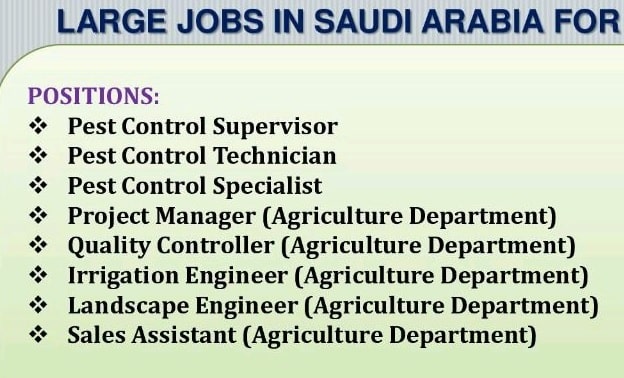 Large Jobs In Saudi Arabia For A Reputed Pest Control Company Jobs In Saudi Arabia
